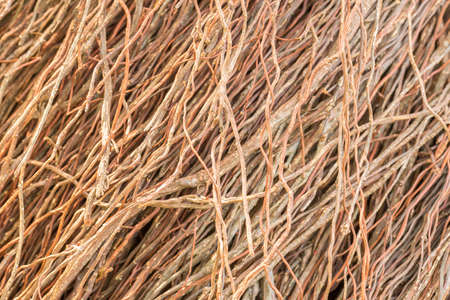 background and texture beautiful root of Banyan tree for  decoration wall finishing