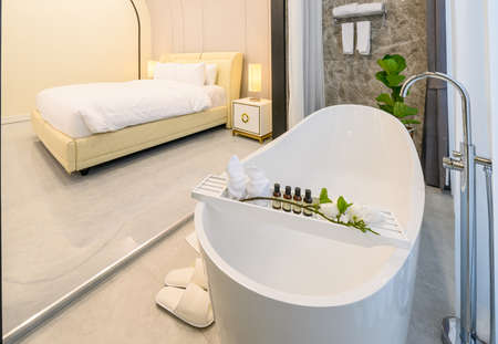 close modern style interior  design of bathroom and bedroom.