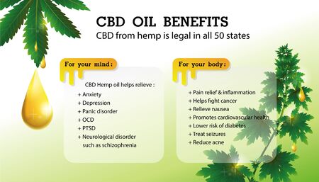 CBD oil benefits,Medical uses for cbd oil and hemp is legal in all 50 states.のイラスト素材