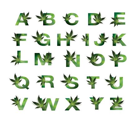 font design a b c to z  medical marijuana, cannabis green leaf logo. vector illustration. - Vectorのイラスト素材