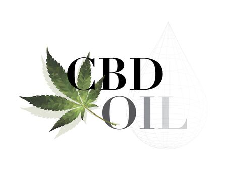 CBD oil and of  Cannabis essence oil drop logo design,Marijuana leaf. Medical cannabis. Hemp oilのイラスト素材
