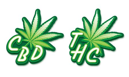 typography design logo CBD and THC design,Marijuana leaf. Medical cannabis. Hemp oil Vector illustration.のイラスト素材