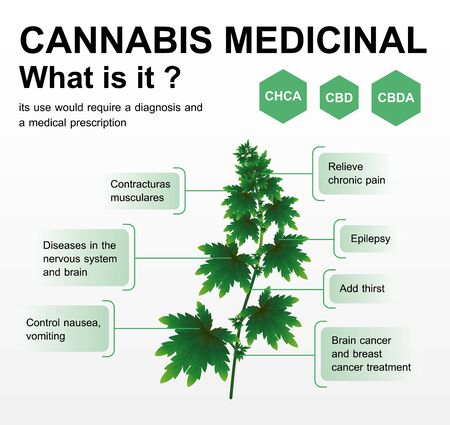 cannabis medicinal what is it,vector infographic on white background.のイラスト素材