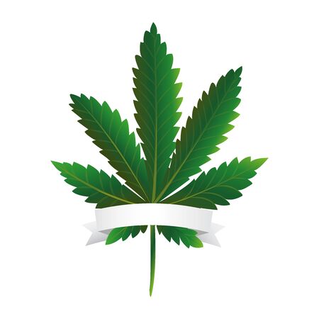 Cannabis leaf with a white ribbon.のイラスト素材