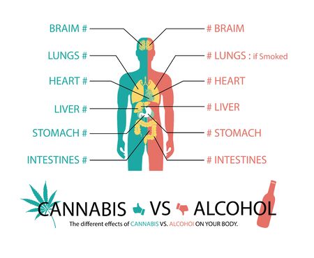 the different effects of cannabis vs alcohol on your body.のイラスト素材