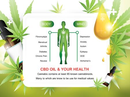 CBD oil and your health active on your body and your mind infographicのイラスト素材
