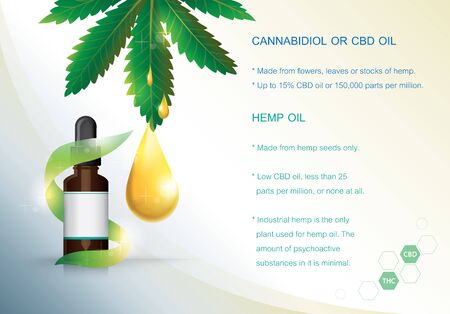 CBD oil and hemp oil benefits,Medical uses for body is infographic on background and poster.のイラスト素材