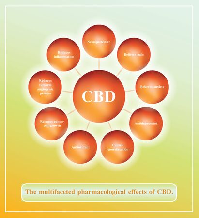 the multifaceted pharmacological effects of bcd,vector infographic on white background.のイラスト素材