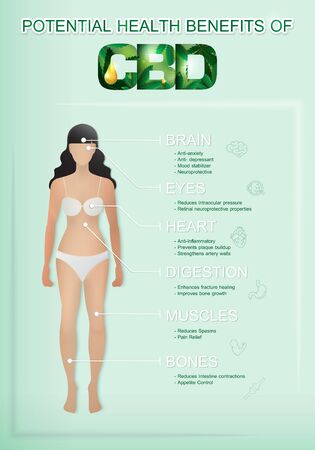 potential health benefits of cbd oil in body woman infographicのイラスト素材