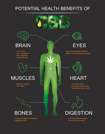 POTENTIAL HEALTH BENEFITS OF CBD OILのイラスト素材