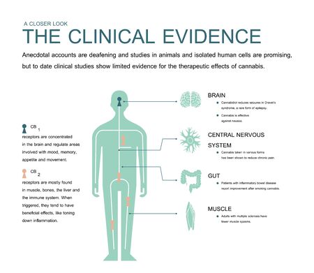 the clinical evidence cannabis and anecdotal accounts are deafening and isolated human cells are promising.but to date clinical studies show limited evidence for the therapeutic effects cannabis.のイラスト素材