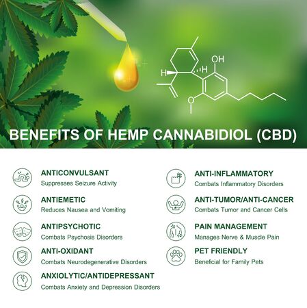 benefits of hemp cannabidiol cbd is infographic on white and nature background.のイラスト素材