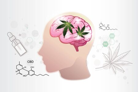 human endocannabinoid system,cannabidiol effect benefit on brain,vector on white background.のイラスト素材