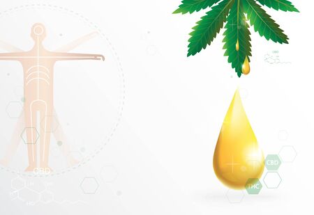 Vitruvian Man and endocannabinoid system, cannabidiol cbd oil and the effect benefit on human, vector on white background.のイラスト素材
