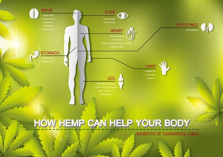how hemp oil can help your body benefits of  cannabis cbd infographicのイラスト素材