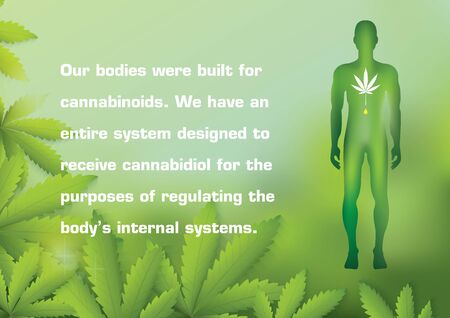 Our bodies were built for cannabinoids. We have an entire system designed to receive cannabidiol for the purposes of regulating the bodyâs internal systems.のイラスト素材