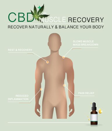 cbd for muscle recovery recover naturally and balance your bodyのイラスト素材