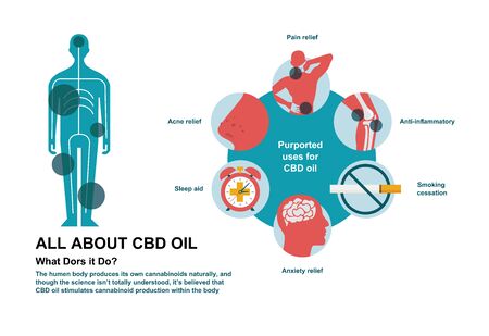 how hemp and cbd oil can help your body benefits of cannabis infographicのイラスト素材