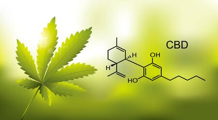 chemical formula medical of Marijuana and cannabis CBD oil nature backgroundのイラスト素材