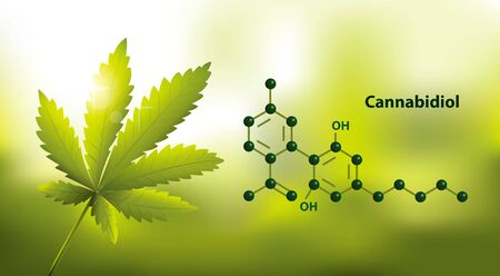 chemical formula medical of Marijuana and cannabis CBD oil nature backgroundのイラスト素材