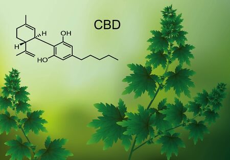 chemical formula medical of Marijuana and cannabis CBD oil nature backgroundのイラスト素材