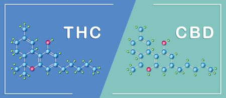 CBD and THC chemical formula of cannabis,vector infographic  poster on background.のイラスト素材