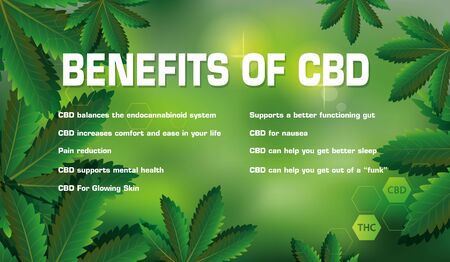 benefits of cbd,Medical uses for cbd oil is infographic on nature background.のイラスト素材