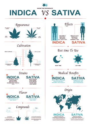 The difference of leaf cannabis sativa and indicaのイラスト素材