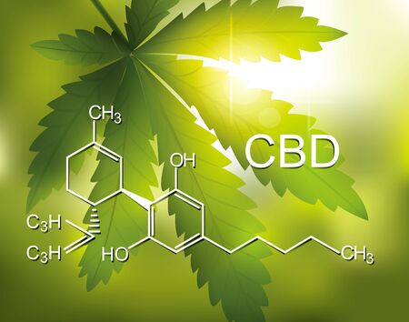 chemical formula medical of Marijuana and cannabis CBD oil nature backgroundのイラスト素材