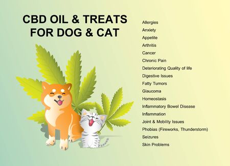 CBD oil and treats for dog & cat is healthy medical infographicのイラスト素材