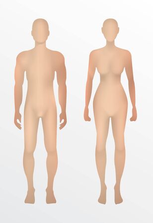human 3d men and women,vector on white background.のイラスト素材