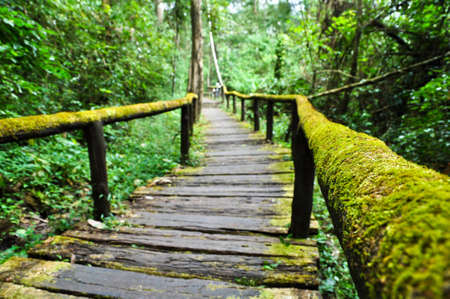 Passage Wayの写真素材