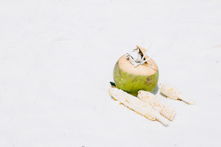 Coconut and corn, garbage on a beachの写真素材