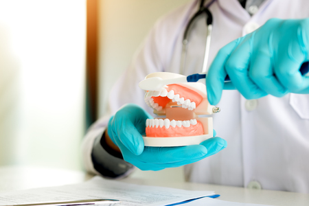 Asian man dentist is holding dentures jaw showing how to brush the teeth.
