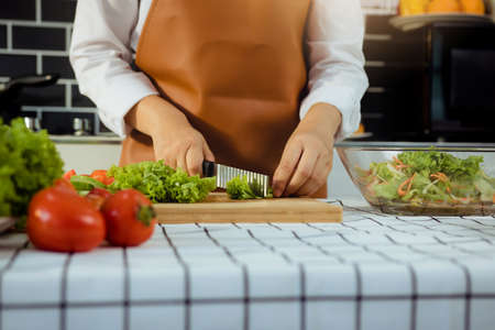 Asian woman uses a knife to cut the salad greens in the kitchen.の写真素材