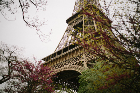 Eiffel tourのeditorial素材