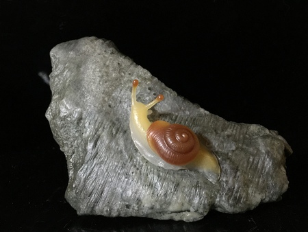 jade carving of snailのeditorial素材