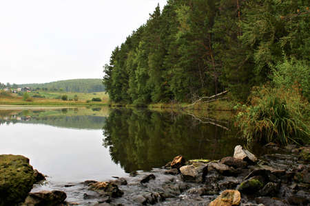 quiet summer morning. a picturesque small forest lake is guarded by mighty Siberian pines, which majestically bent over the water surface. the murmur of a stream in complete silence gently envelops yoの写真素材
