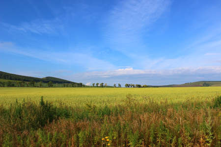 the nature of Khakassia amazes with its vastness landscape.の写真素材