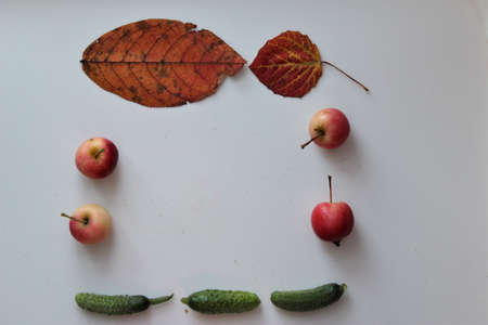 still life with autumn giftsの写真素材