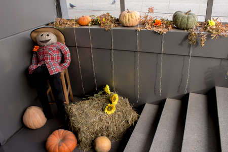 Preparing for the Halloween holiday decoration with pumpkinsの写真素材