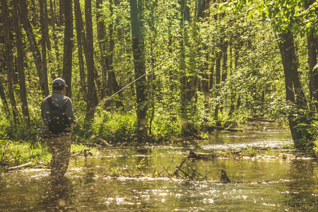 Fishing with tenkara on a small creek. Flyfishing.の写真素材