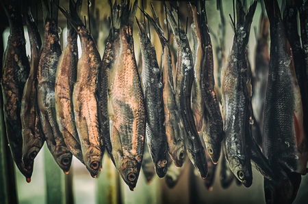 Dried fishの写真素材