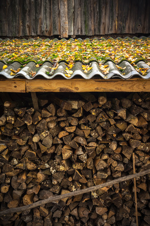 Harvested for winter firewood on the farm.の写真素材