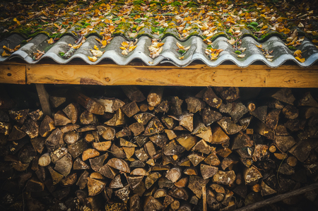 Harvested for winter firewood on the farm.の写真素材