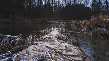 Frost on the picturesque banks of the stream.の写真素材