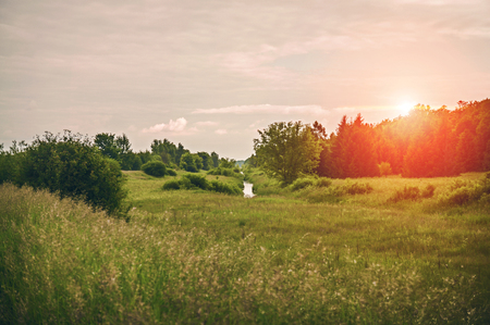 Sunset on a forest stream.の写真素材