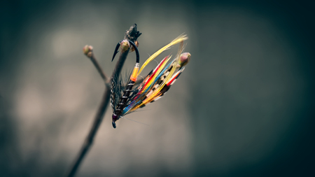 fly fishing fliesの写真素材