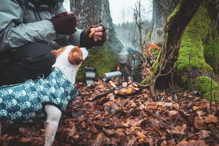 Go fishing with a dog.の写真素材
