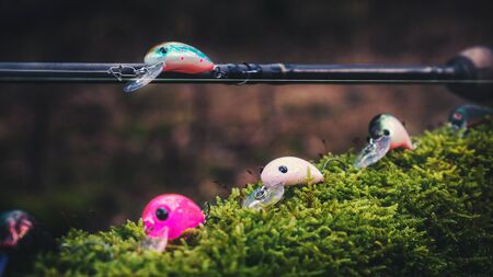 Minsk region Belarus - February 20, 2020: Strikepro brand fishing lures.